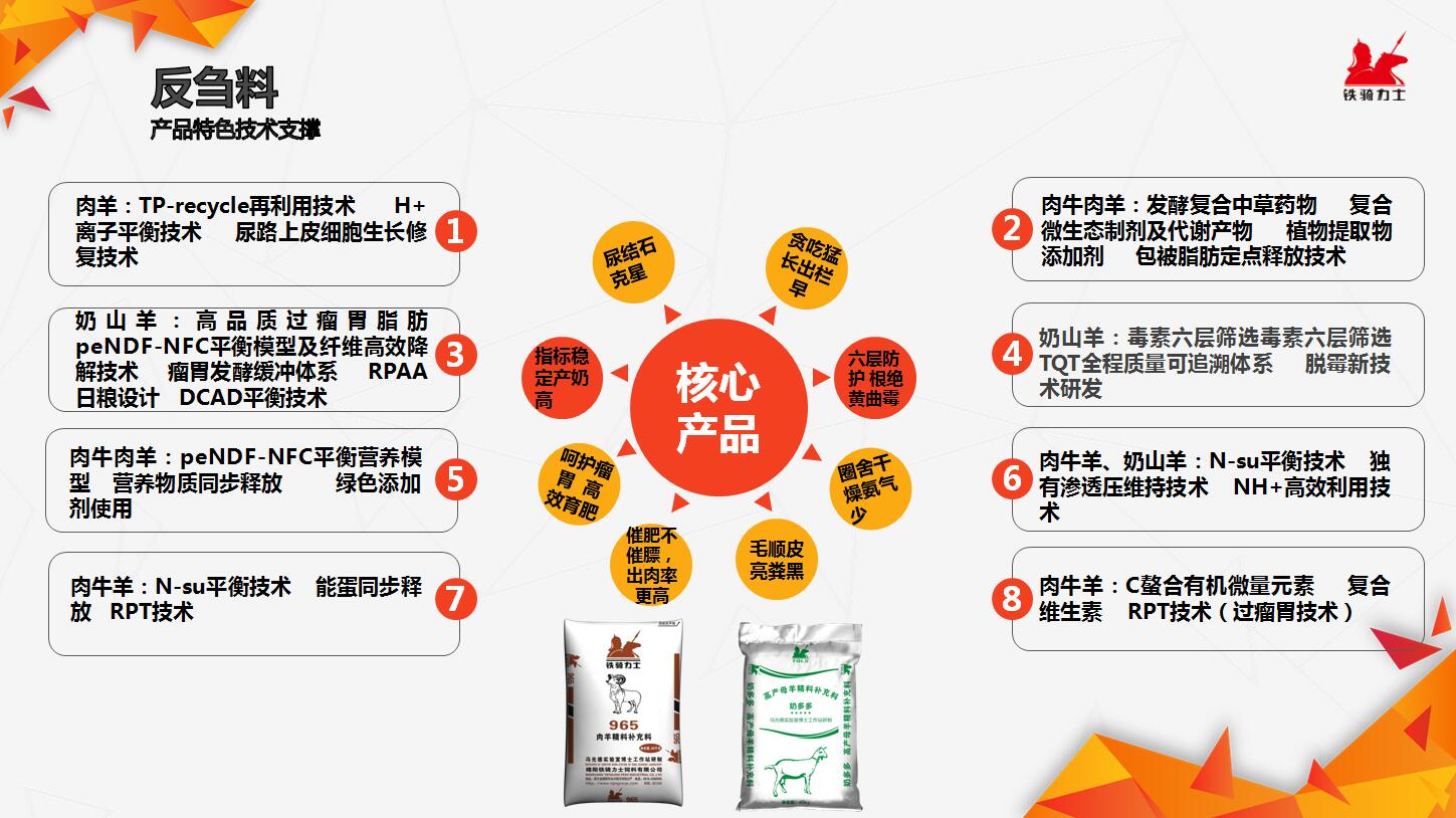 反芻料