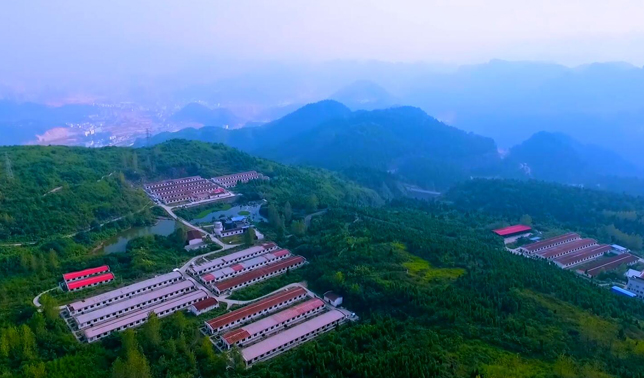 鐵騎力士牧業科技工匠篇