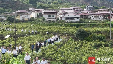 這次現(xiàn)場會中，有哪些經驗值得學習推廣？ 農業(yè)農村廳廳