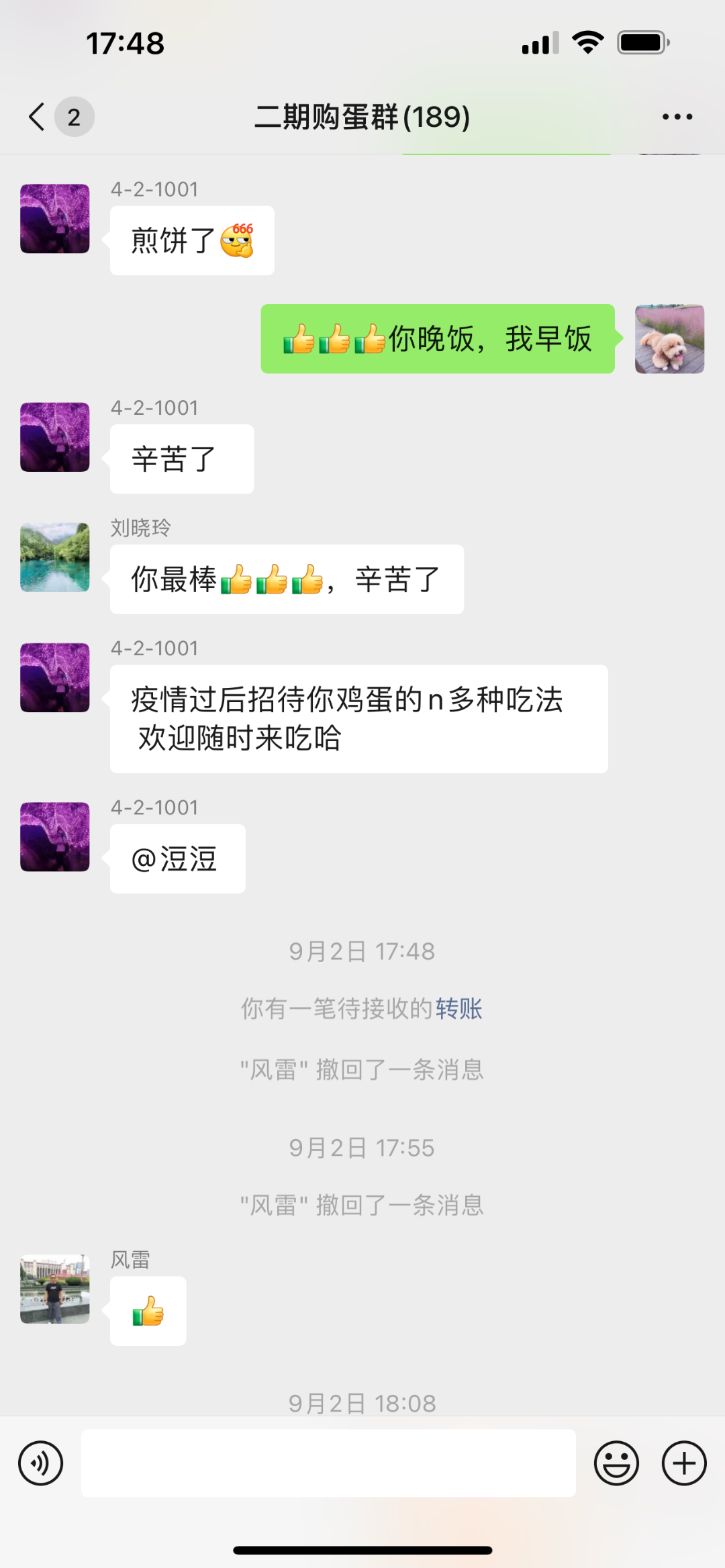 IMG_8523.PNG