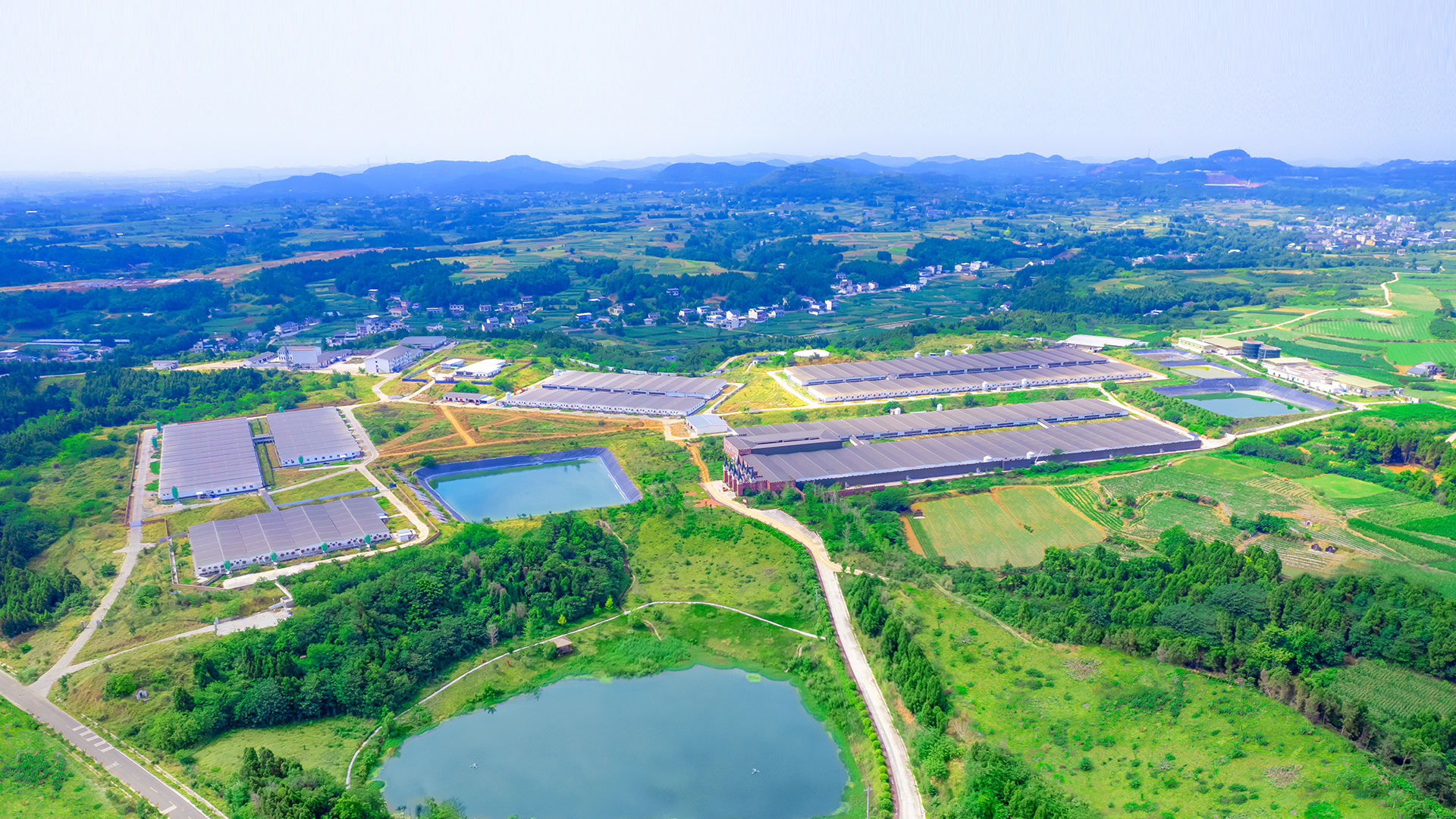 產業概況 Industry Overview